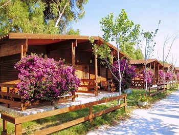 zobacz camping - zdjęcie 2