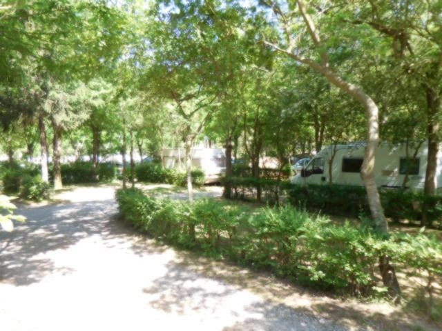 zobacz camping - zdjęcie 13