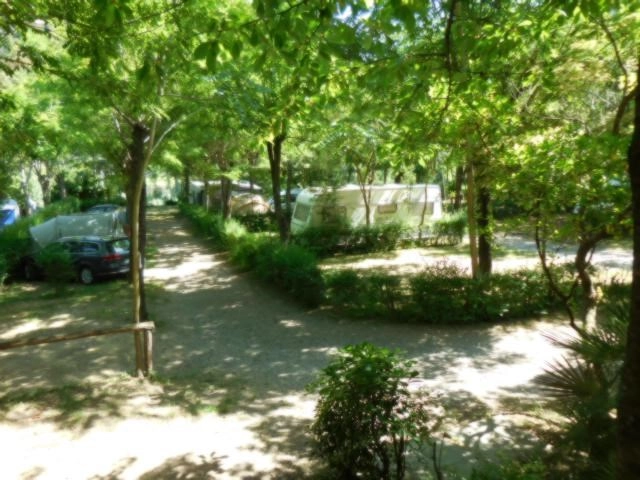 zobacz camping - zdjęcie 5