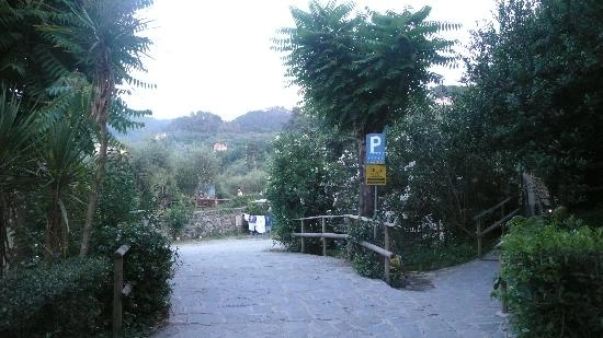 zobacz camping - zdjęcie 21