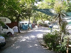 zobacz camping - zdjęcie 18