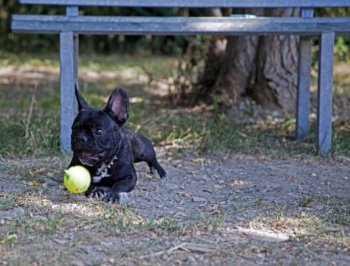 zobacz camping - zdjęcie 23