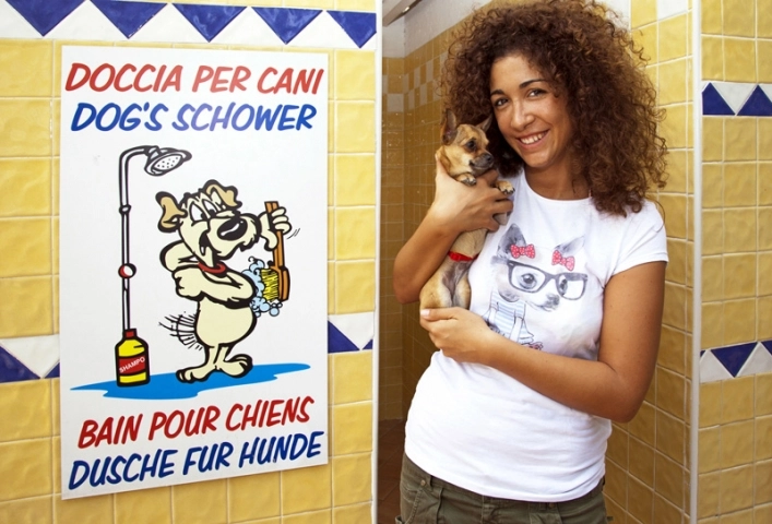 zobacz camping - zdjęcie 22