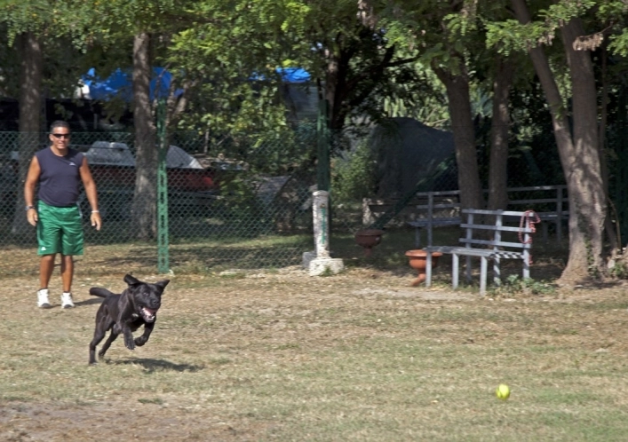 zobacz camping - zdjęcie 20