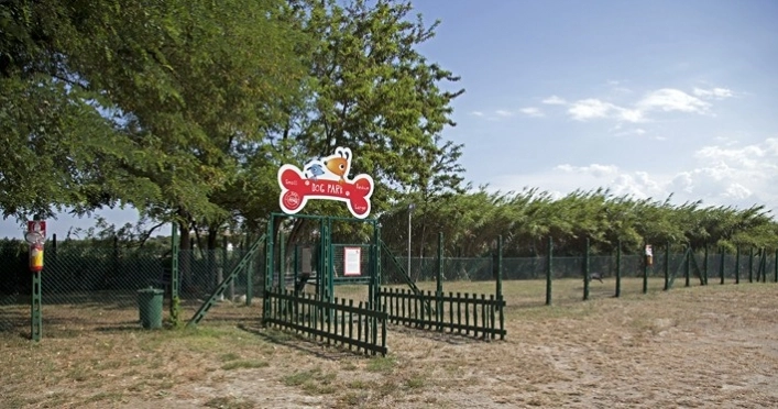 zobacz camping - zdjęcie 3