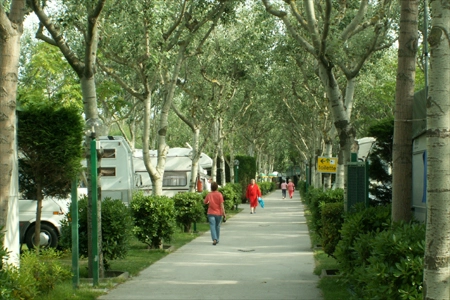 zobacz camping - zdjęcie 7