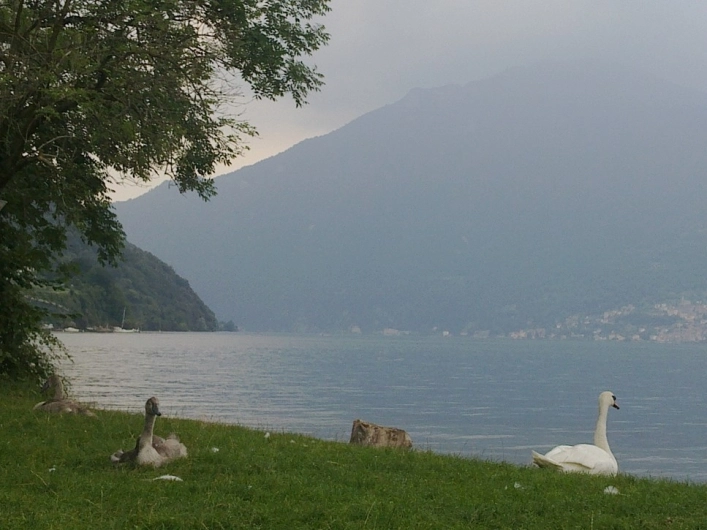 zobacz camping - zdjęcie 21