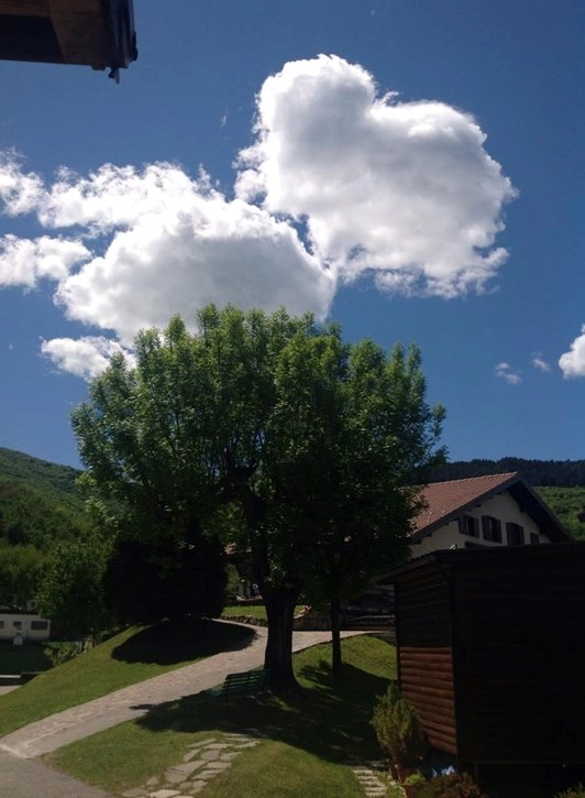 zobacz camping - zdjęcie 17