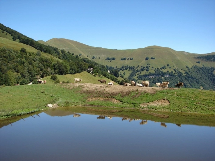 zobacz camping - zdjęcie 10