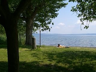 zobacz camping - zdjęcie 10