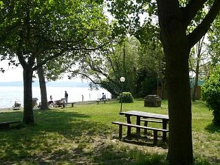 zobacz camping - zdjęcie 7