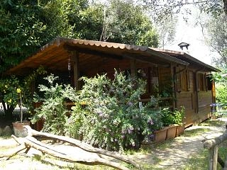 zobacz camping - zdjęcie 3