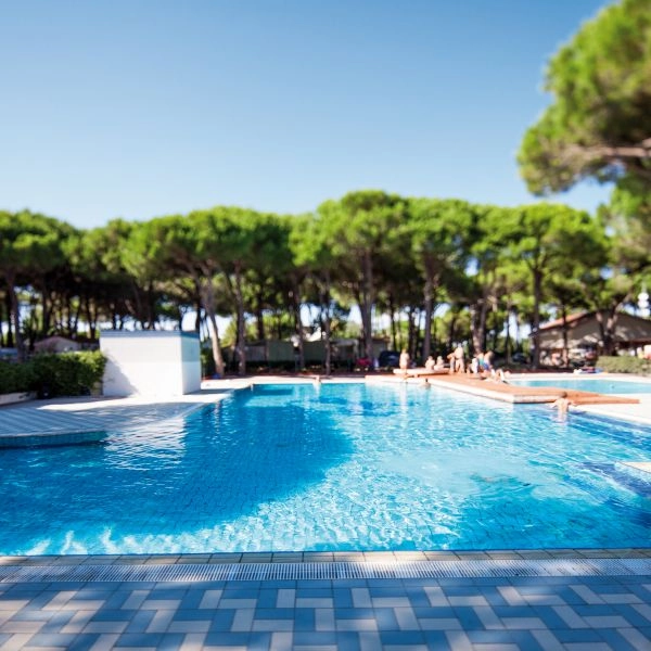 zobacz camping - zdjęcie 7