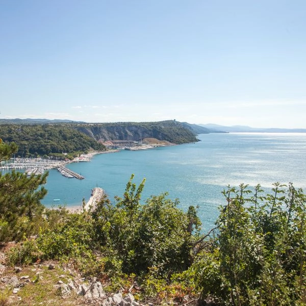 zobacz camping - zdjęcie 6