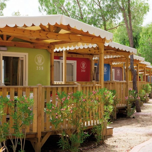 zobacz camping - zdjęcie 4