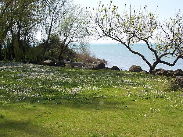 Camping Eden Park - zdjęcie 3