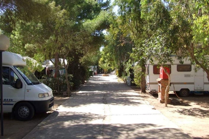 zobacz camping - zdjęcie 12