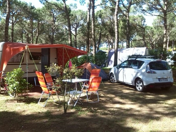 zobacz camping - zdjęcie 28