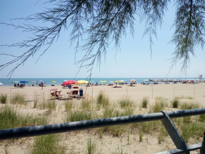 zobacz camping - zdjęcie 20