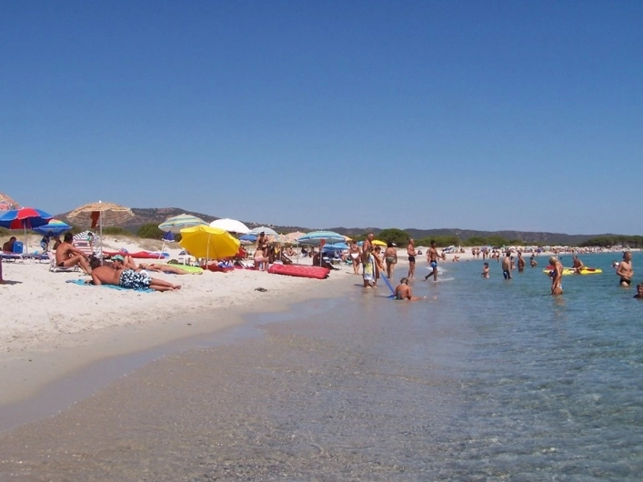 zobacz camping - zdjęcie 20