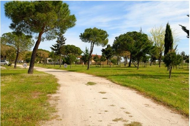 zobacz camping - zdjęcie 18