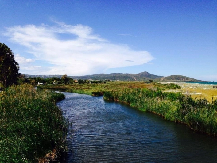 zobacz camping - zdjęcie 17