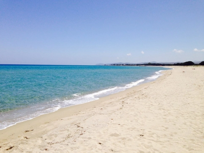 zobacz camping - zdjęcie 14