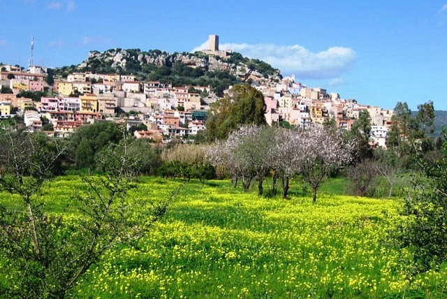 zobacz camping - zdjęcie 12