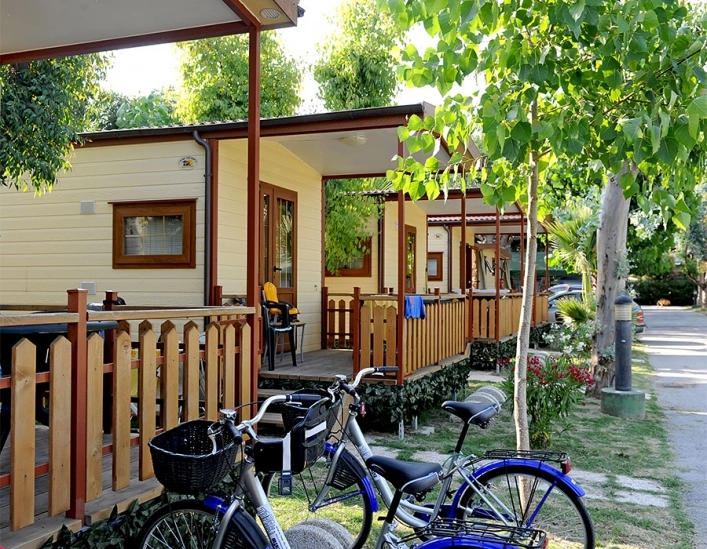 zobacz camping - zdjęcie 10