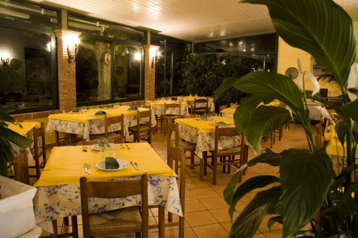 zobacz camping - zdjęcie 14