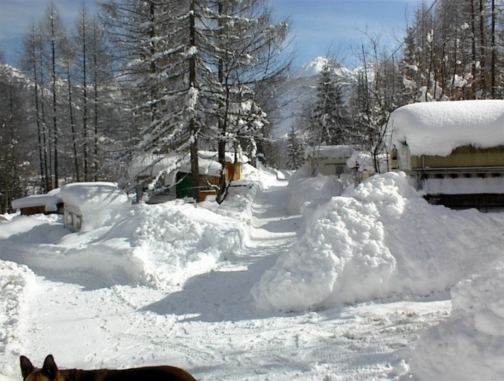 Camping Al Pez di Pralongo - zdjęcie 3