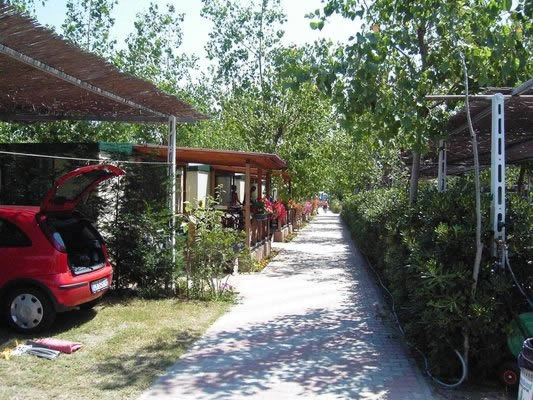 zobacz camping - zdjęcie 18