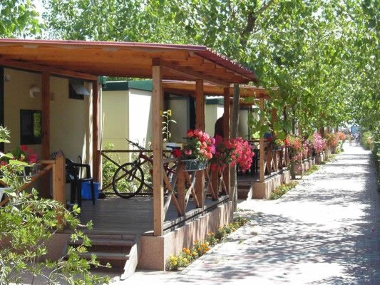 zobacz camping - zdjęcie 14