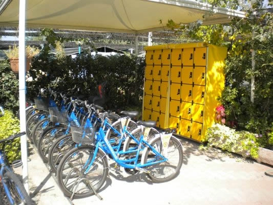 zobacz camping - zdjęcie 10