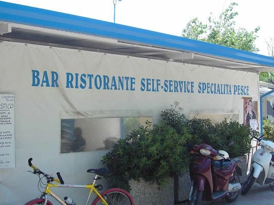 zobacz camping - zdjęcie 9