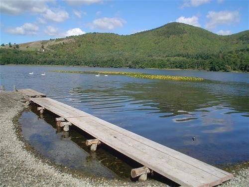 Camping Europa Parco Naturale - zdjęcie 3