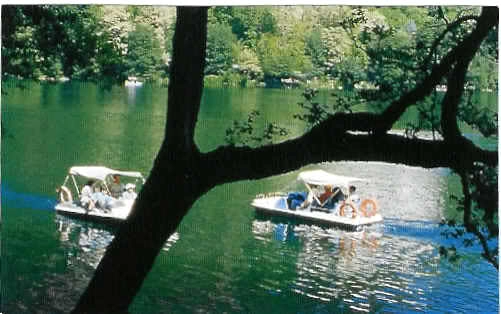 Camping Europa Parco Naturale - zdjęcie 1