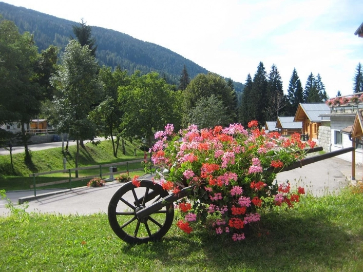 zobacz camping - zdjęcie 15