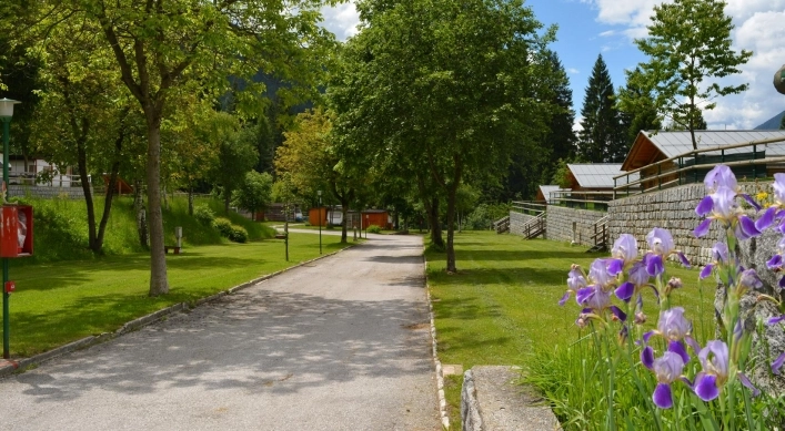 zobacz camping - zdjęcie 5