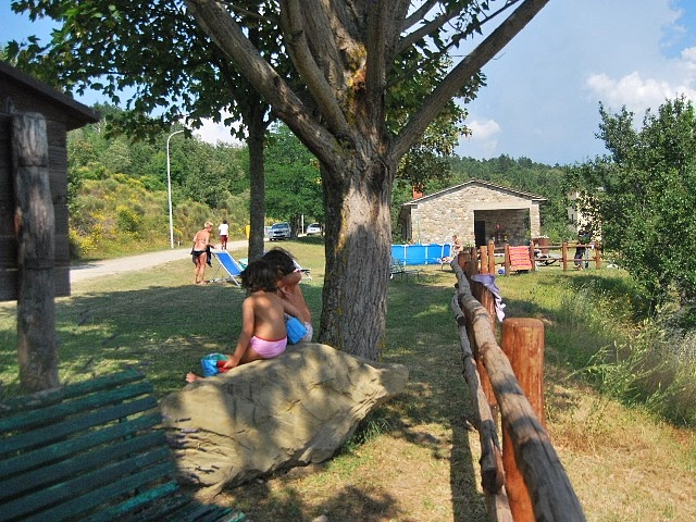 zobacz camping - zdjęcie 35