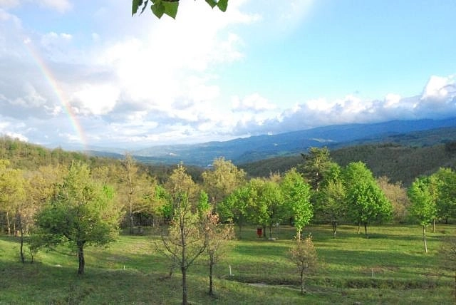 zobacz camping - zdjęcie 31