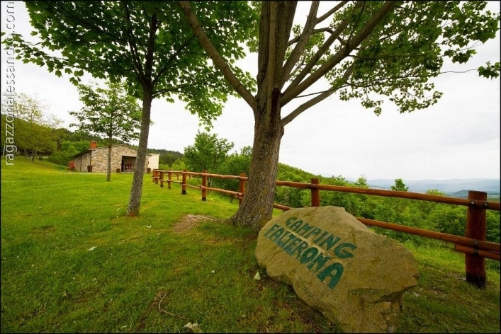 zobacz camping - zdjęcie 25