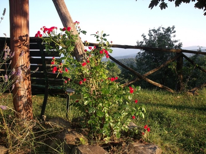 zobacz camping - zdjęcie 22