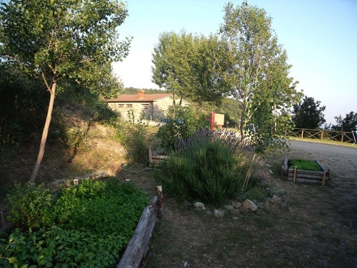 zobacz camping - zdjęcie 3