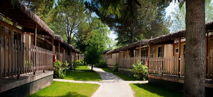 zobacz camping - zdjęcie 4