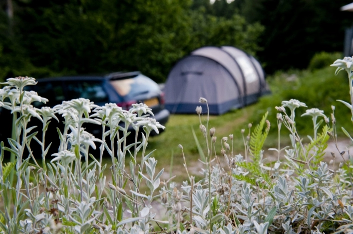 zobacz camping - zdjęcie 16