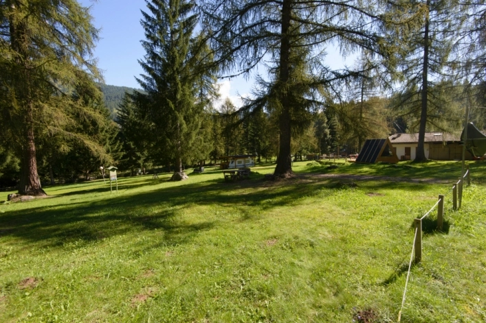 zobacz camping - zdjęcie 6