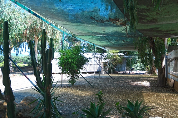 zobacz camping - zdjęcie 10