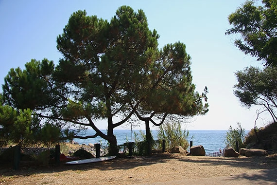 zobacz camping - zdjęcie 6