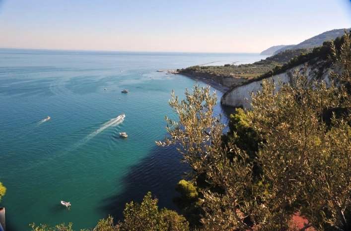 zobacz camping - zdjęcie 19